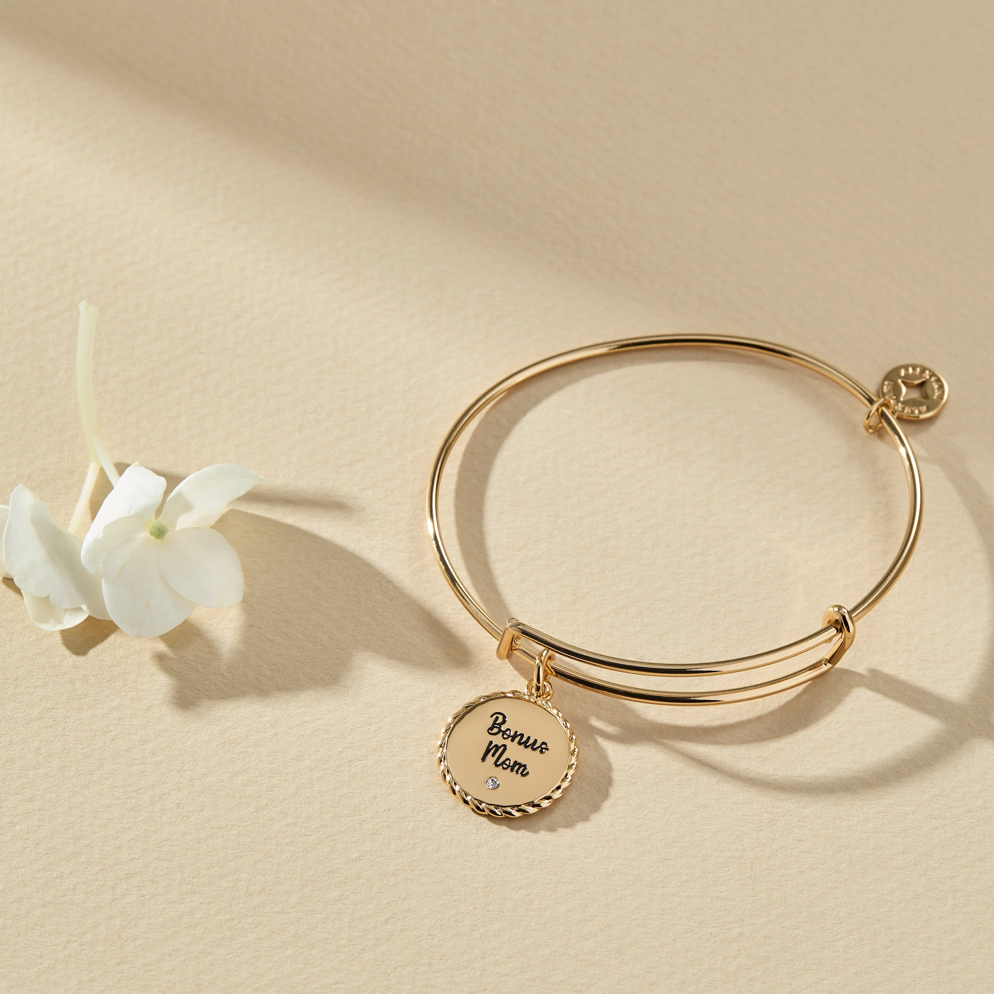 Bonus Mom 'Family Isn't Only Blessed By Name' Charm Bangle - Image 8