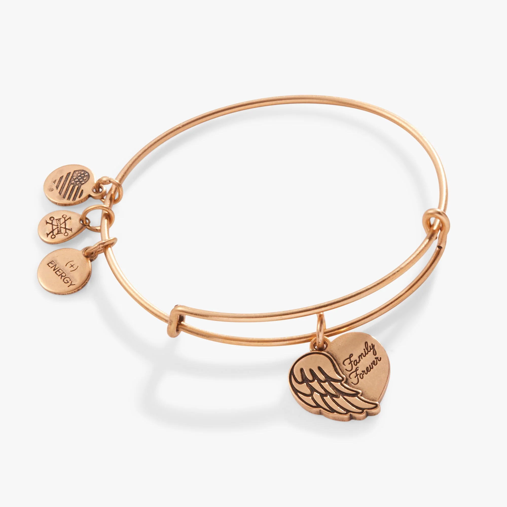 'Family Forever' Angel Wing Heart Charm Bangle - Image 3