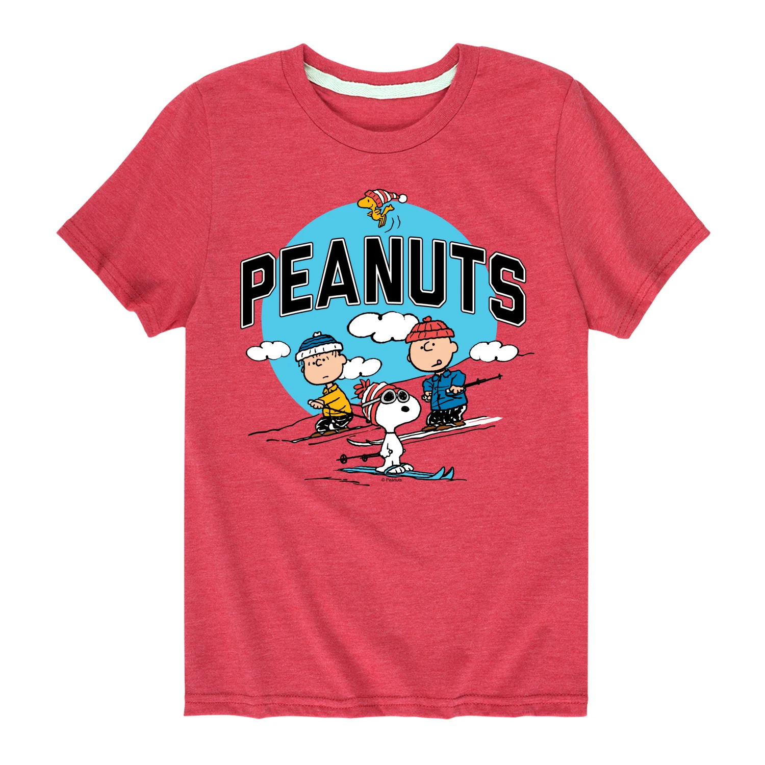 Peanuts - Snoopy and Friends Skiing - Toddler And Youth Short Sleeve Graphic T-Shirt - Image 5