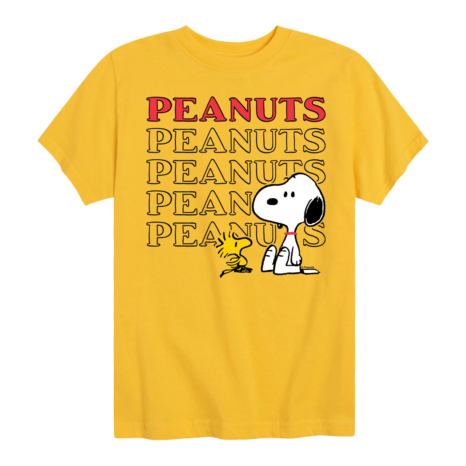 Peanuts - Snoopy Woodstock - Toddler & Youth Short Sleeve Graphic T-Shirt