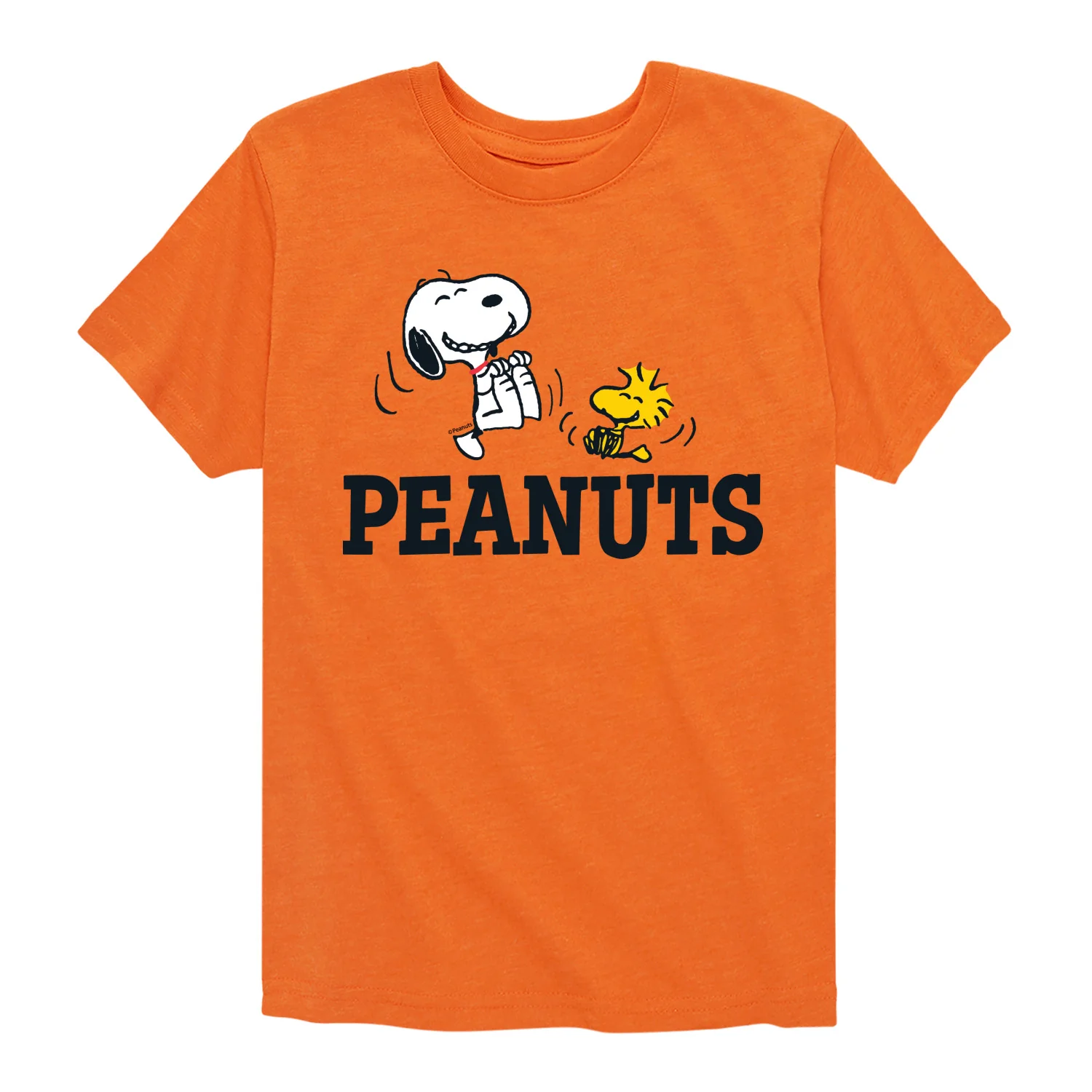Peanuts - Snoopy And Woodstock - Toddler & Youth Short Sleeve Graphic T-Shirt - Image 3