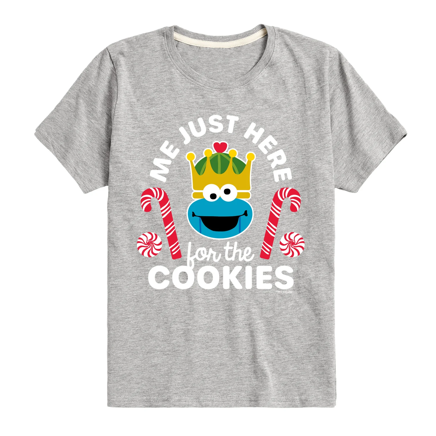Sesame Street - Just Here for the Cookies - Youth Short Sleeve Graphic T-shirt - Image 2
