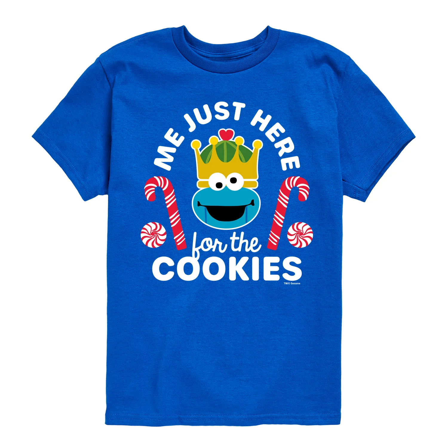 Sesame Street - Just Here for the Cookies - Youth Short Sleeve Graphic T-shirt - Image 5