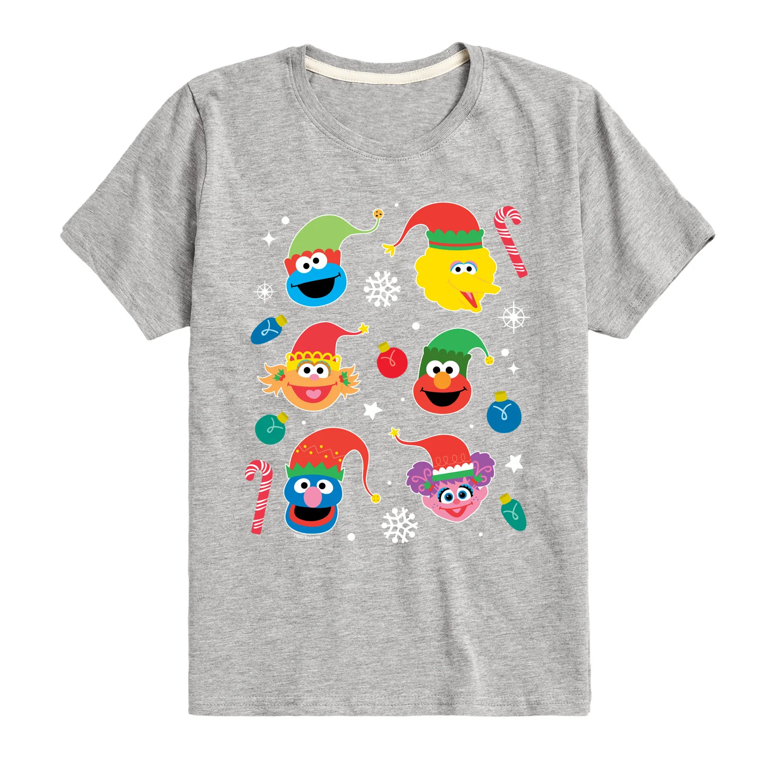 Sesame Street - Chracter Holiday Icons - Youth Short Sleeve Graphic T-shirt - Image 2