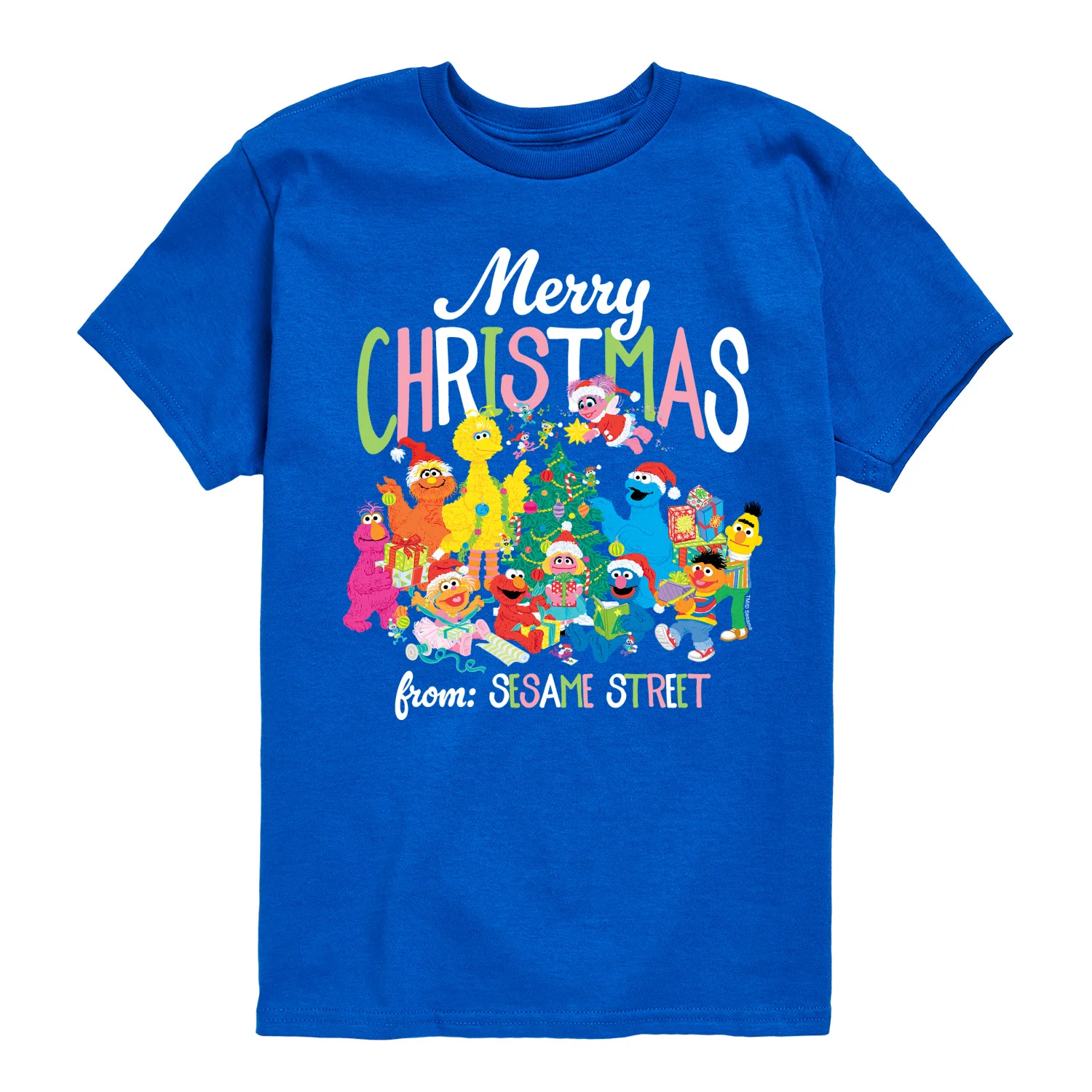 Sesame Street - Big Group Christmas - Youth Short Sleeve Graphic T-shirt