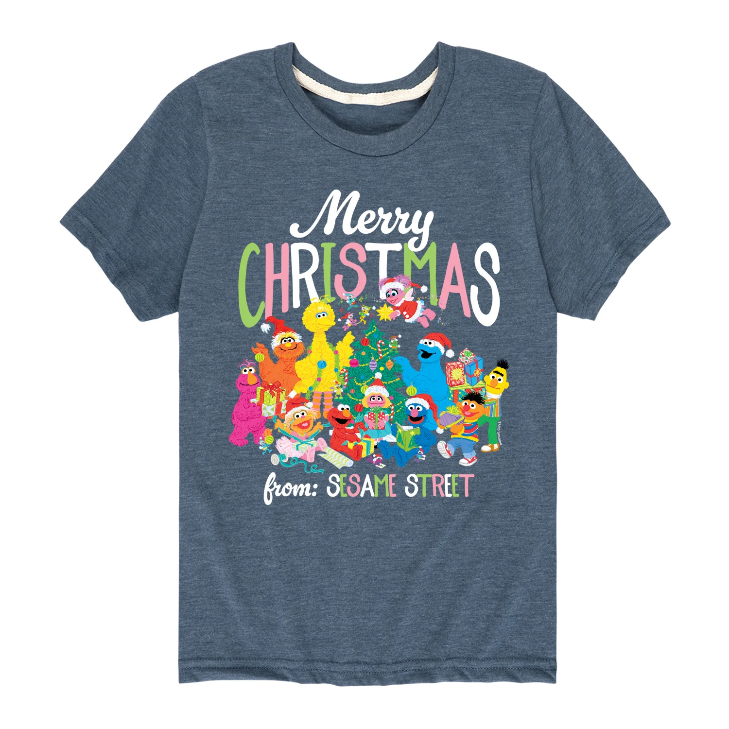 Sesame Street - Big Group Christmas - Youth Short Sleeve Graphic T-shirt - Image 2