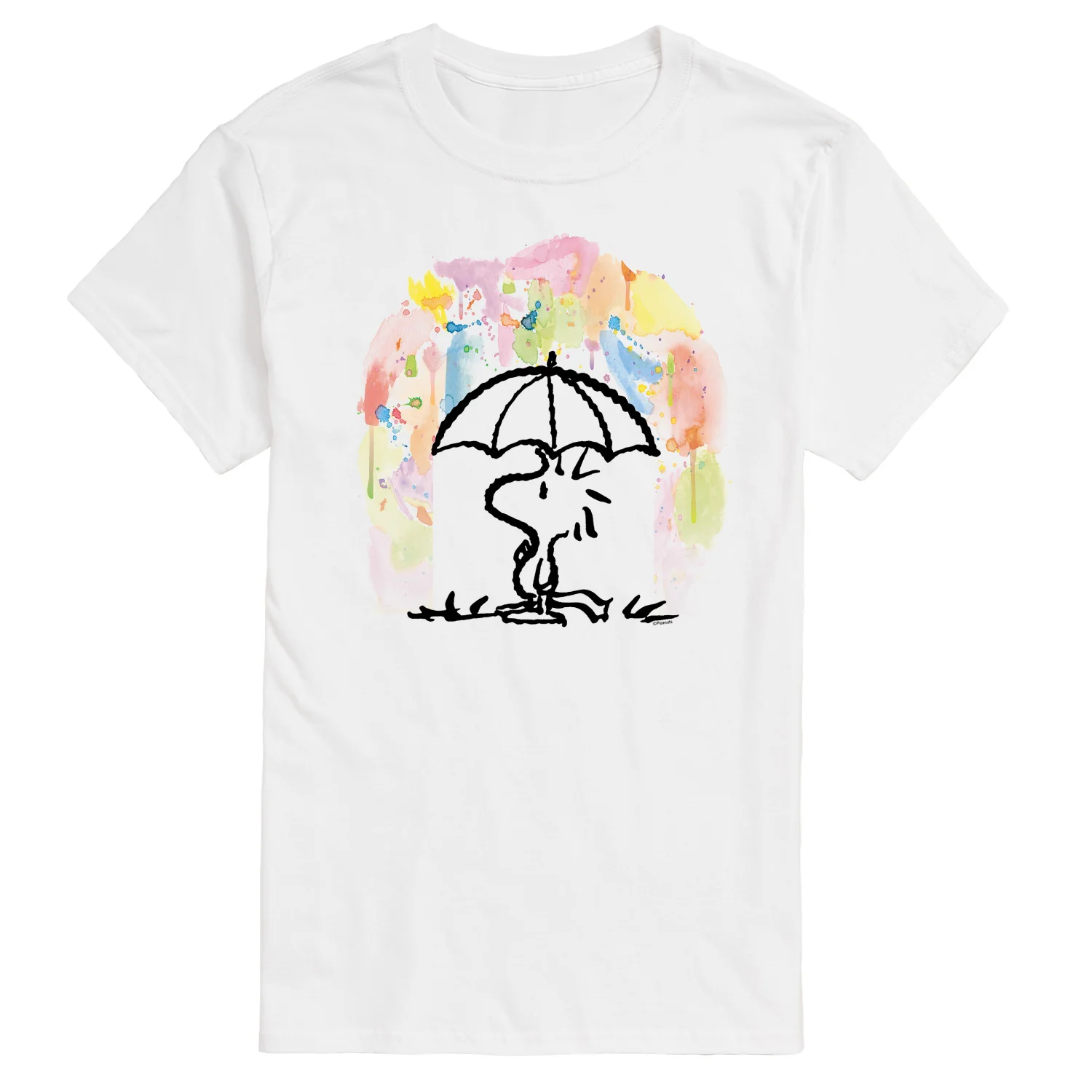 Peanuts - Rainbow Watercolor Woodstock - Men's Short Sleeve Graphic T-Shirt