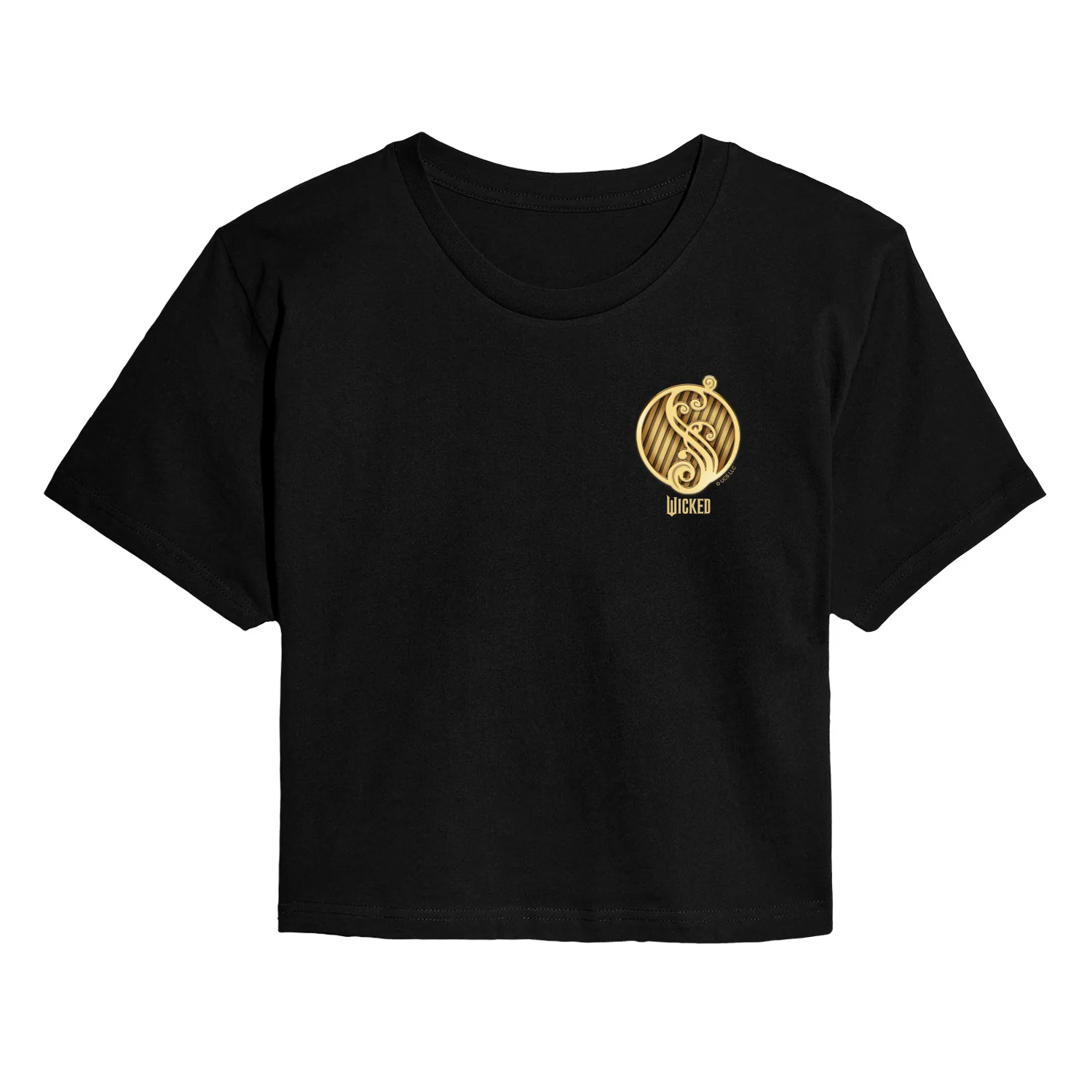 Wicked - Elphaba Badge - Juniors Cropped Graphic T-shirt
