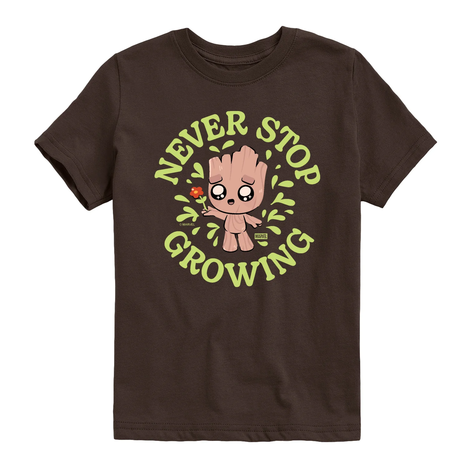 Guardians of the Galaxy - Never Stop Growing - Youth Boys Short Sleeve Graphic T-Shirt