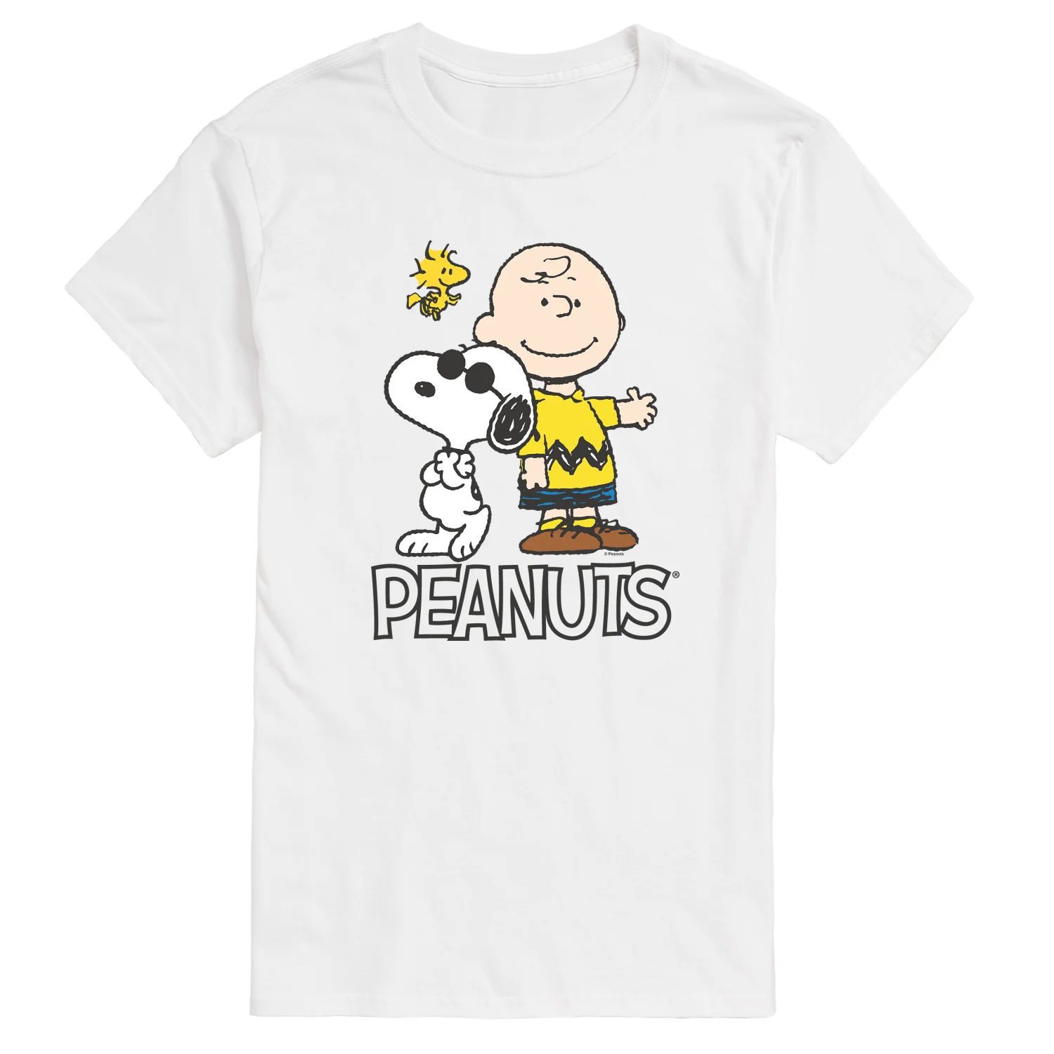 Peanuts - Charlie Brown, Snoopy & Woodstock - Men's Short Sleeve Graphic T-Shirt