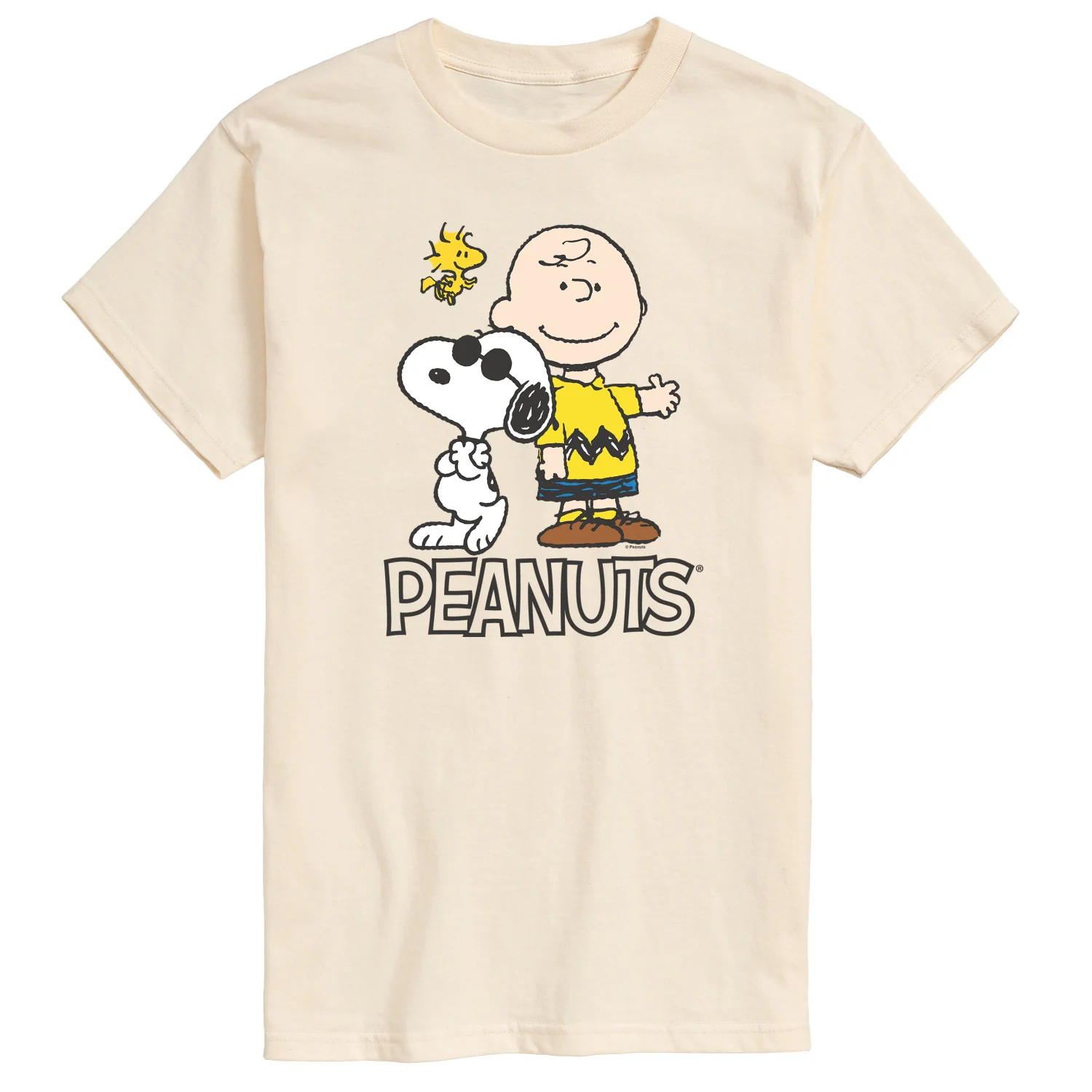 Peanuts - Charlie Brown, Snoopy & Woodstock - Men's Short Sleeve Graphic T-Shirt - Image 3