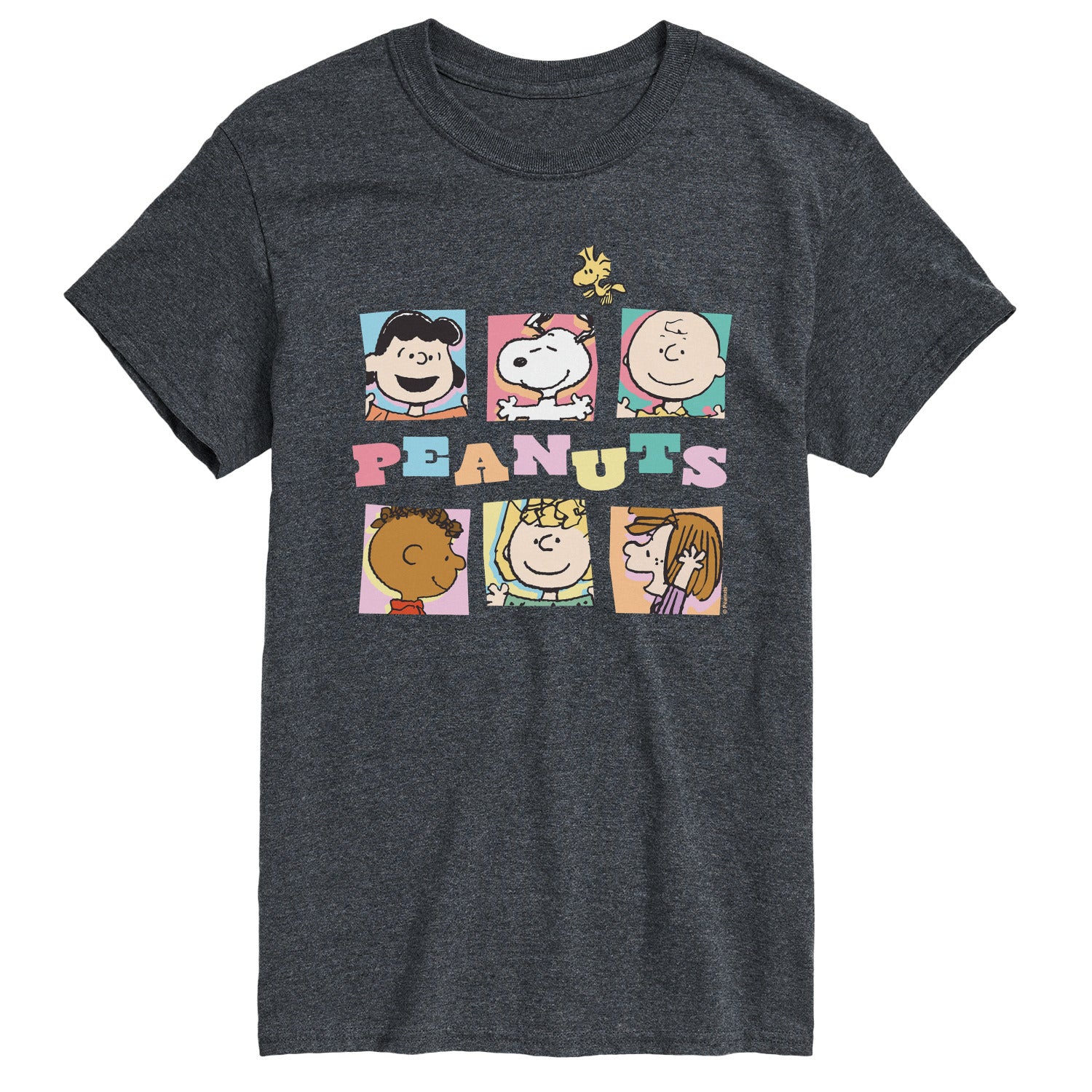 Peanuts - Character Boxes - Men's Short Sleeve Graphic T-Shirt - Image 2