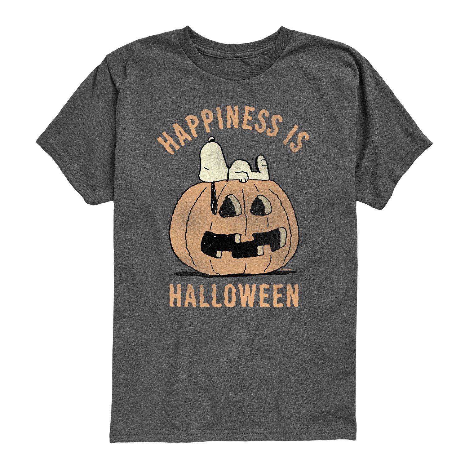 Peanuts - Happiness Is Halloween - Youth Boys Short Sleeve Graphic T-Shirt - Image 4