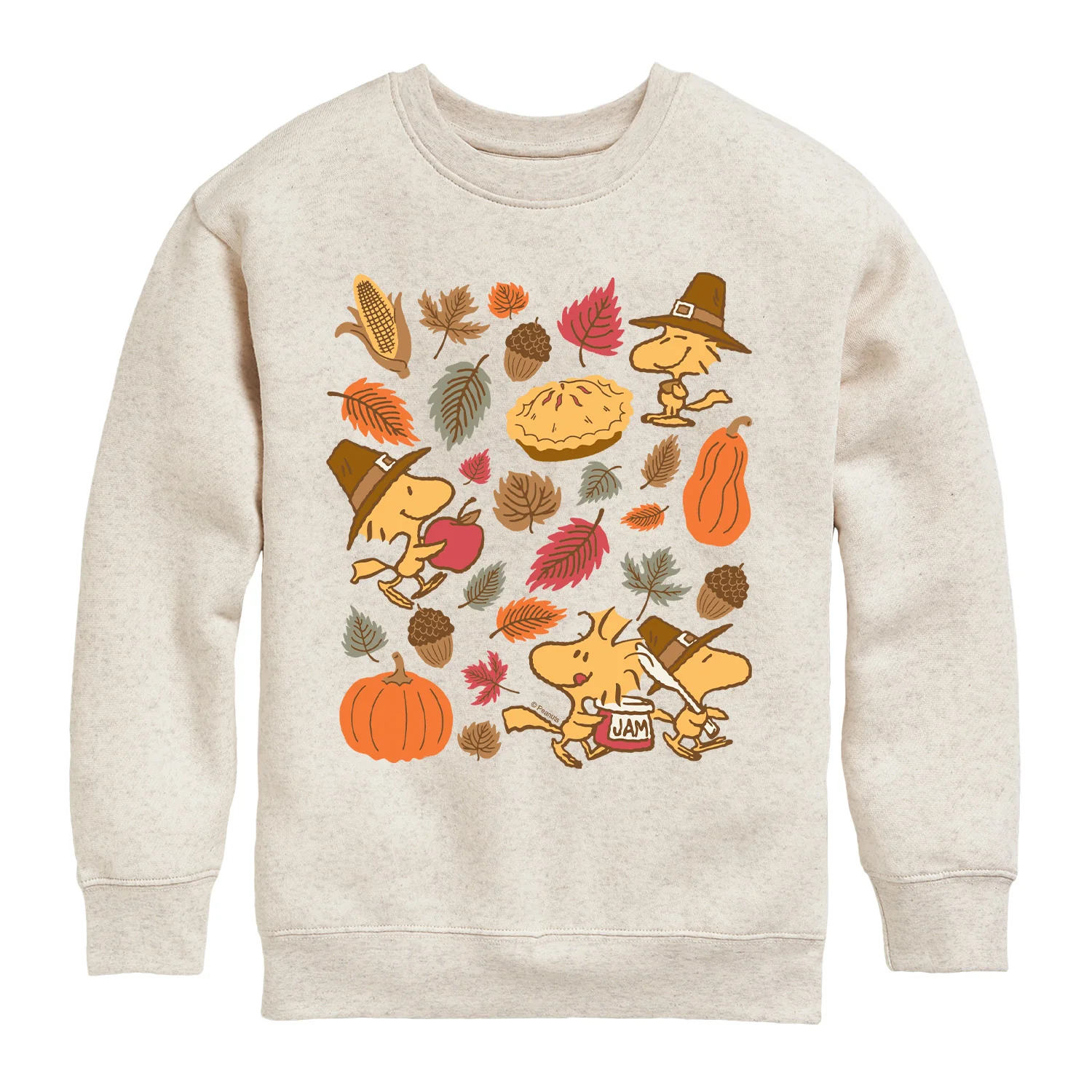 Peanuts - Woodstock Thanksgiving Icons - Youth Crew Fleece Sweatshirt - Image 2