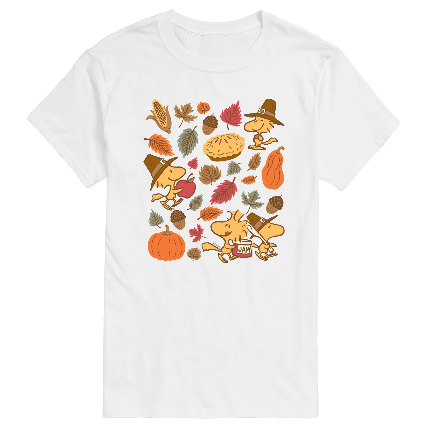 Peanuts - Thanksgiving Woodstocks - Men's Short Sleeve Graphic T-Shirt