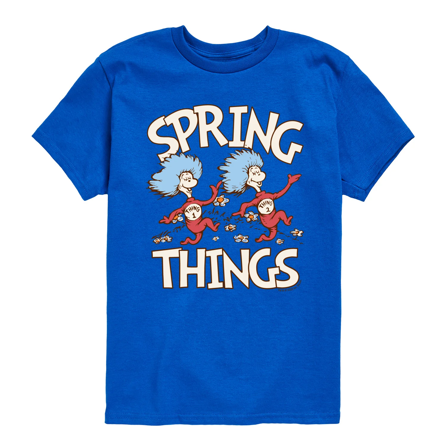 Dr. Seuss - Spring Things - Youth Boys Short Sleeve Graphic T-Shirt - Image 6