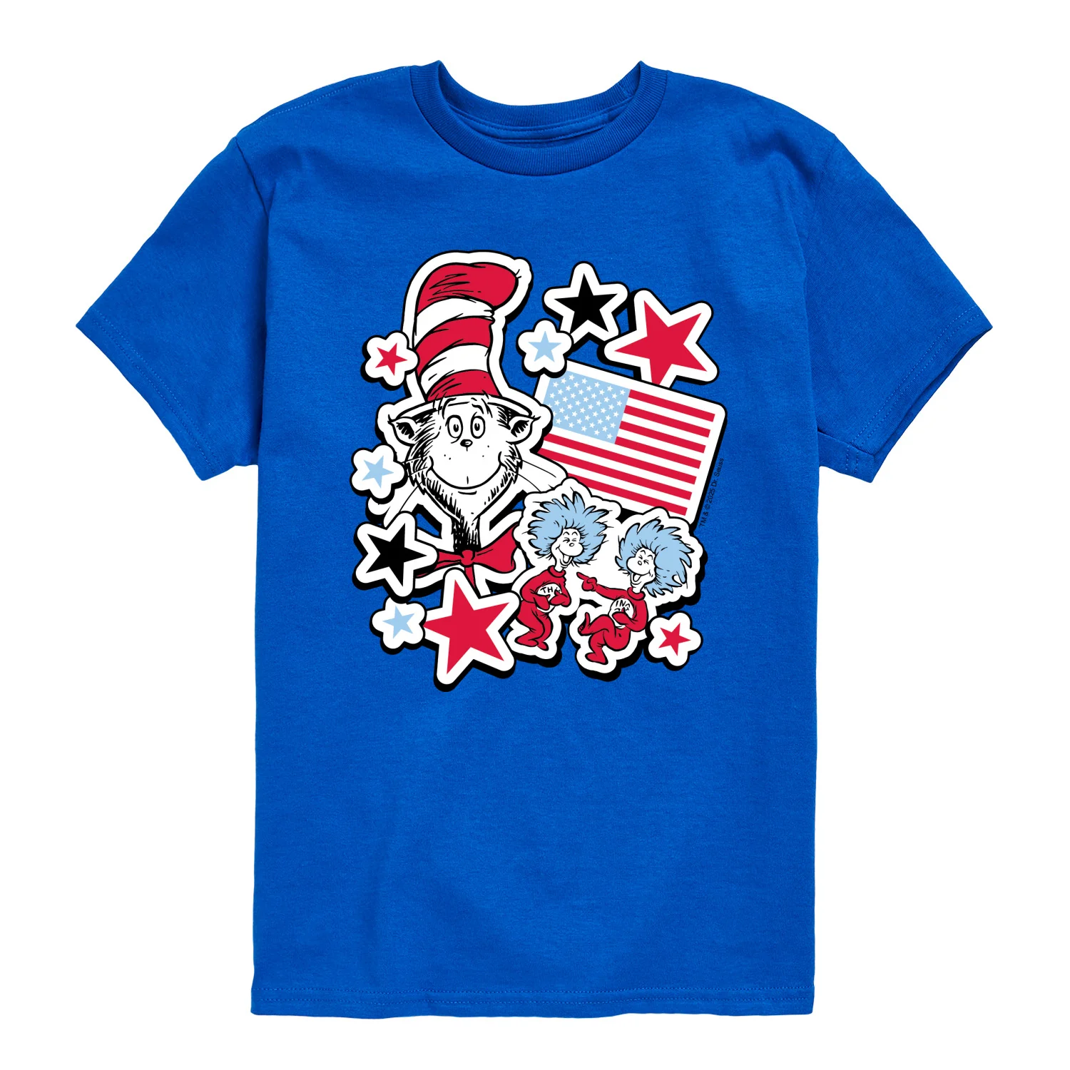 The Cat in the Hat - Americana Stickers - Youth Boys Short Sleeve Graphic T-Shirt