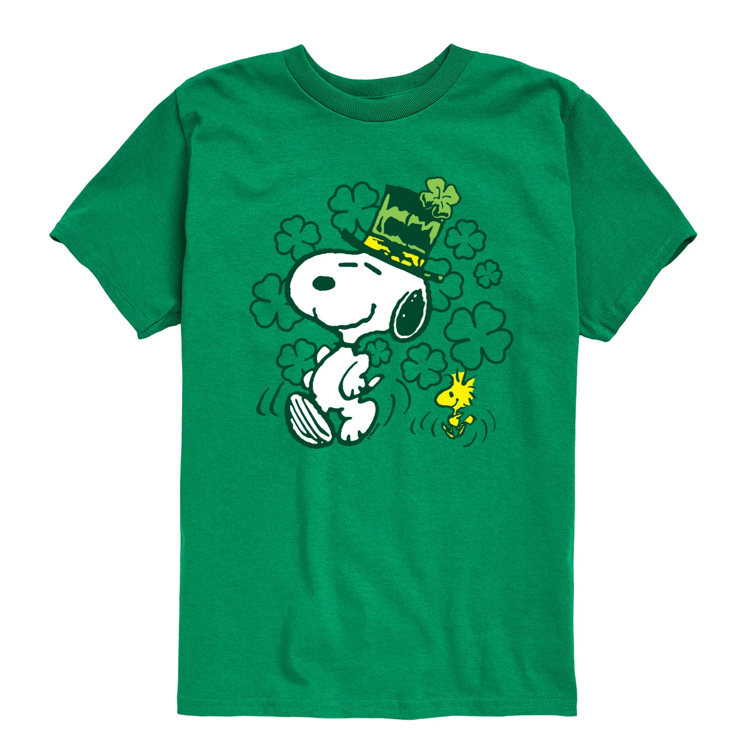 Peanuts - St. Paddy's Snoopy and Woodstock - Youth Boys Short Sleeve Graphic T-Shirt - Image 4