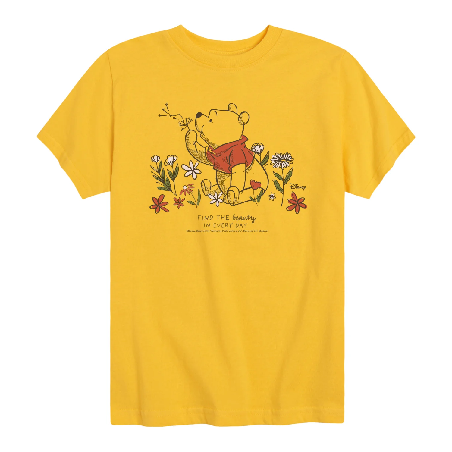 Winnie the Pooh - Blowing Dandelion - Youth Boys Short Sleeve Graphic T-Shirt