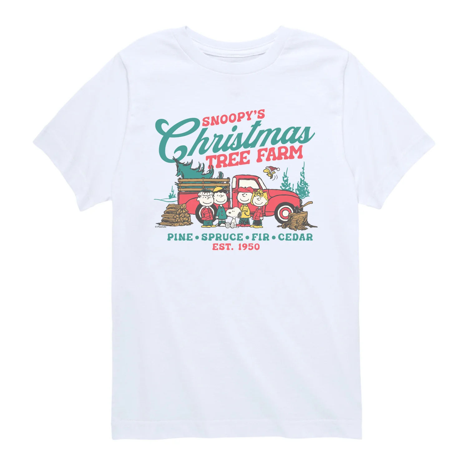 Peanuts - Tree Farm - Youth Boys Short Sleeve Graphic T-Shirt