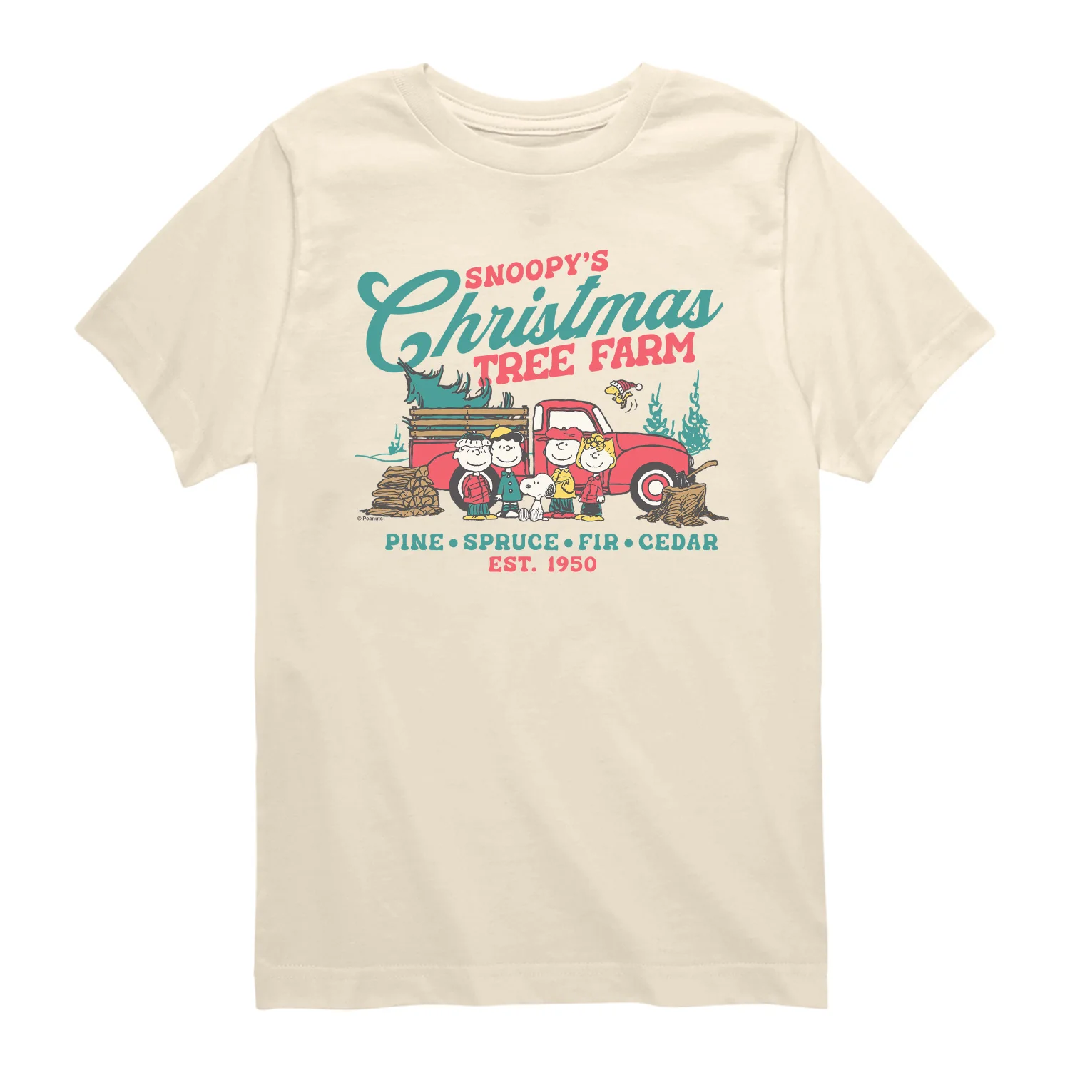 Peanuts - Tree Farm - Youth Boys Short Sleeve Graphic T-Shirt - Image 3