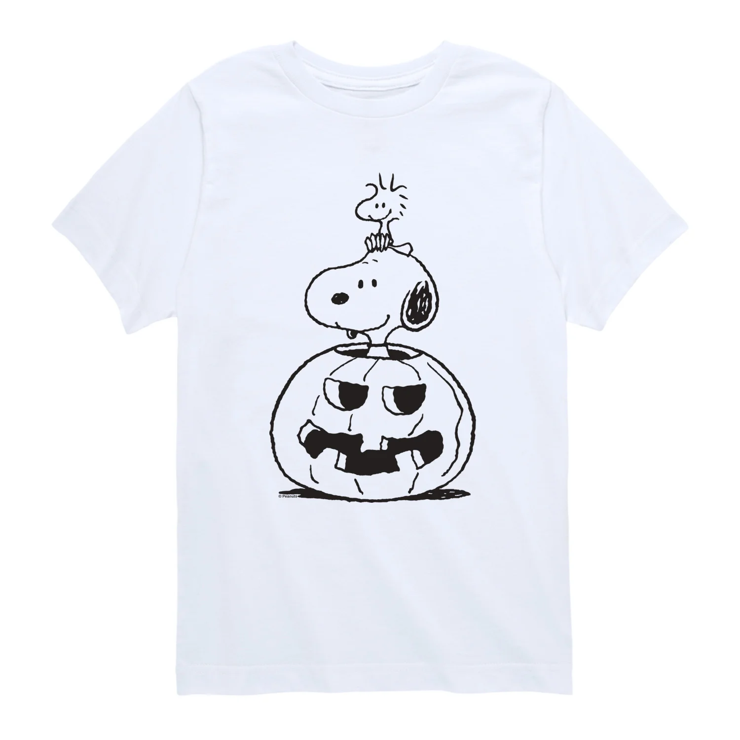 Peanuts - Pumpkin Sketch - Youth Boys Short Sleeve Graphic T-Shirt