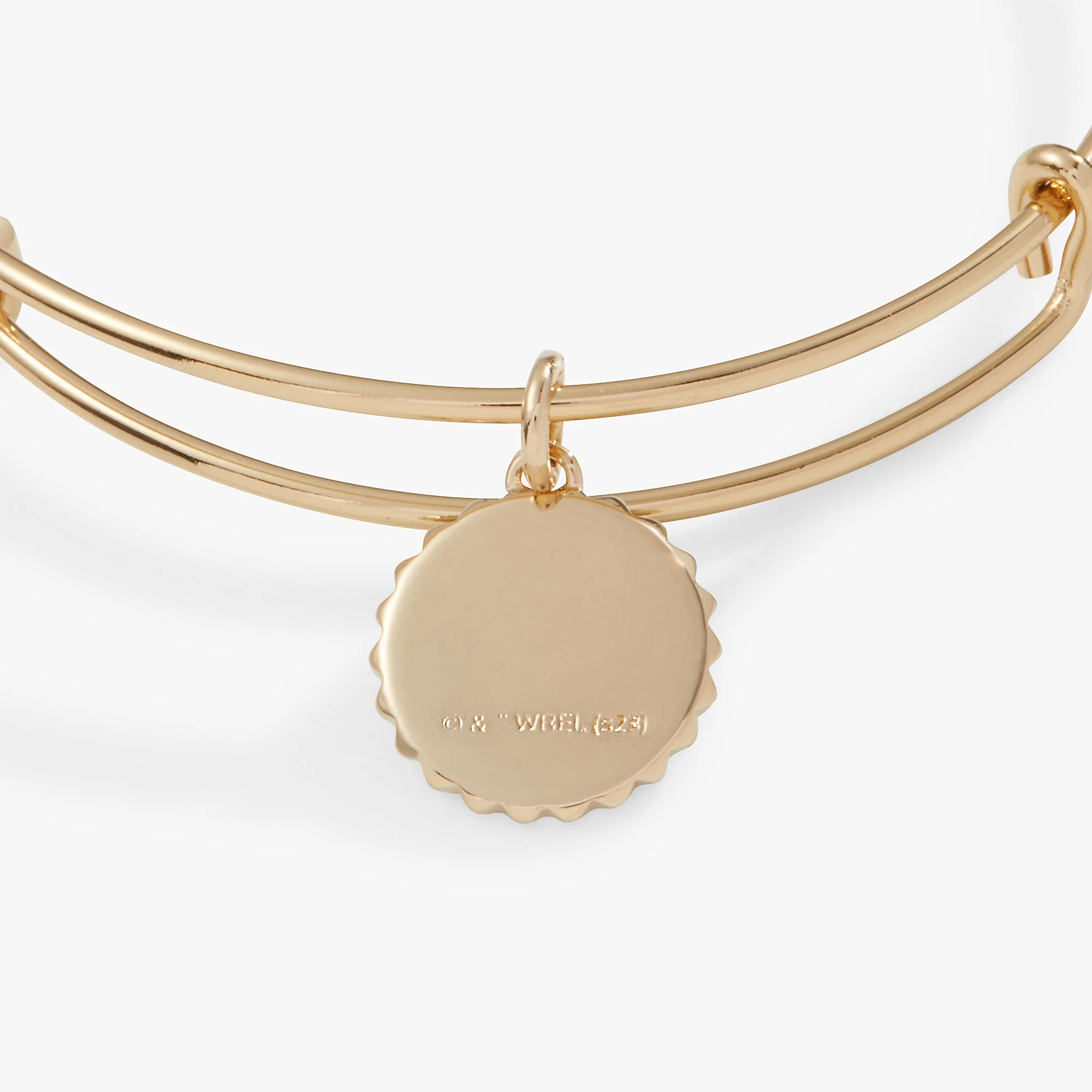 Harry Potter™ Hufflepuff House Charm Bangle - Image 2