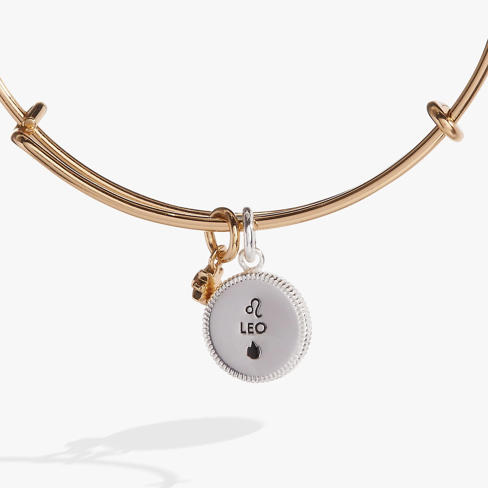 Leo Zodiac Charm Bangle - Image 3