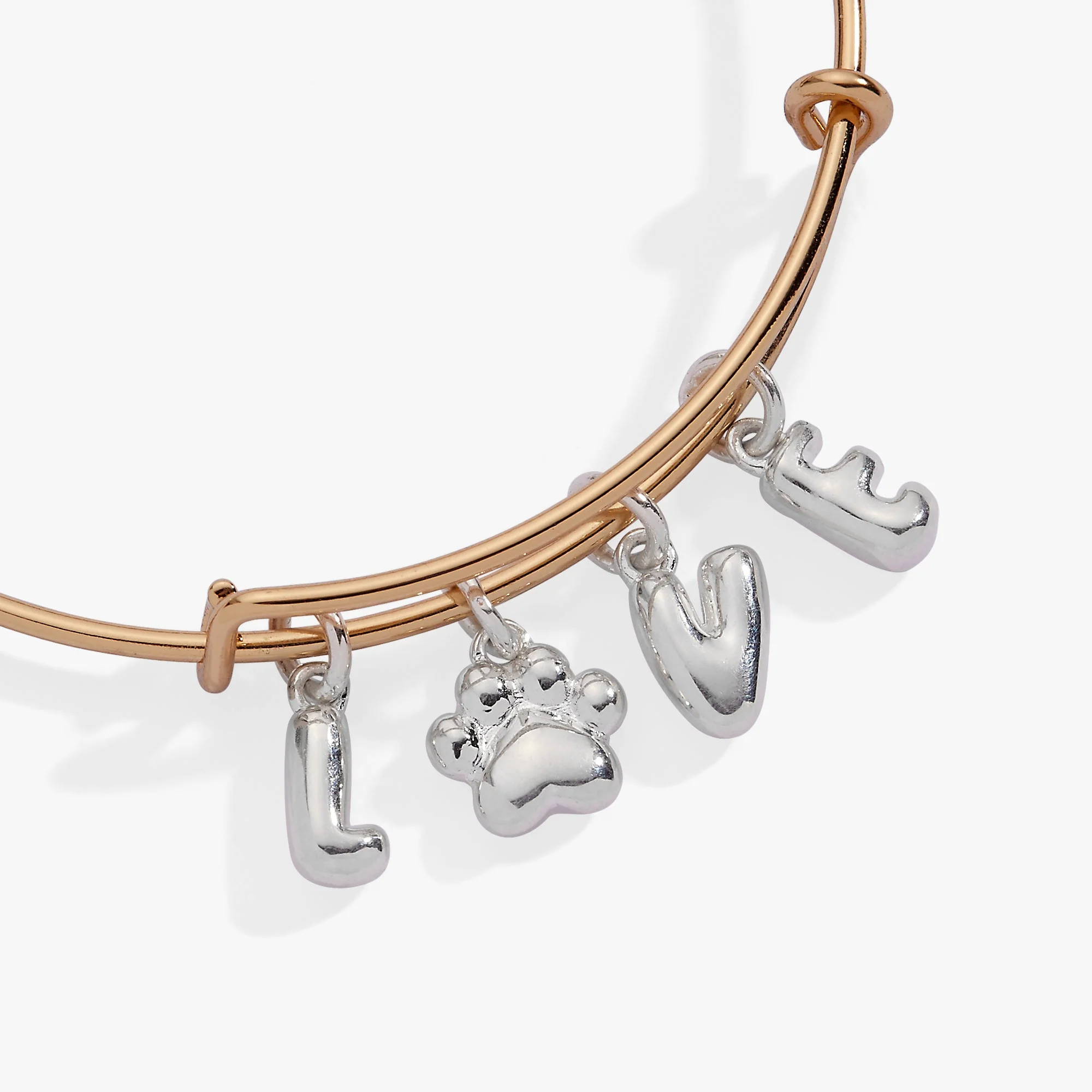Pet Love Multi Charm Bangle - Image 3