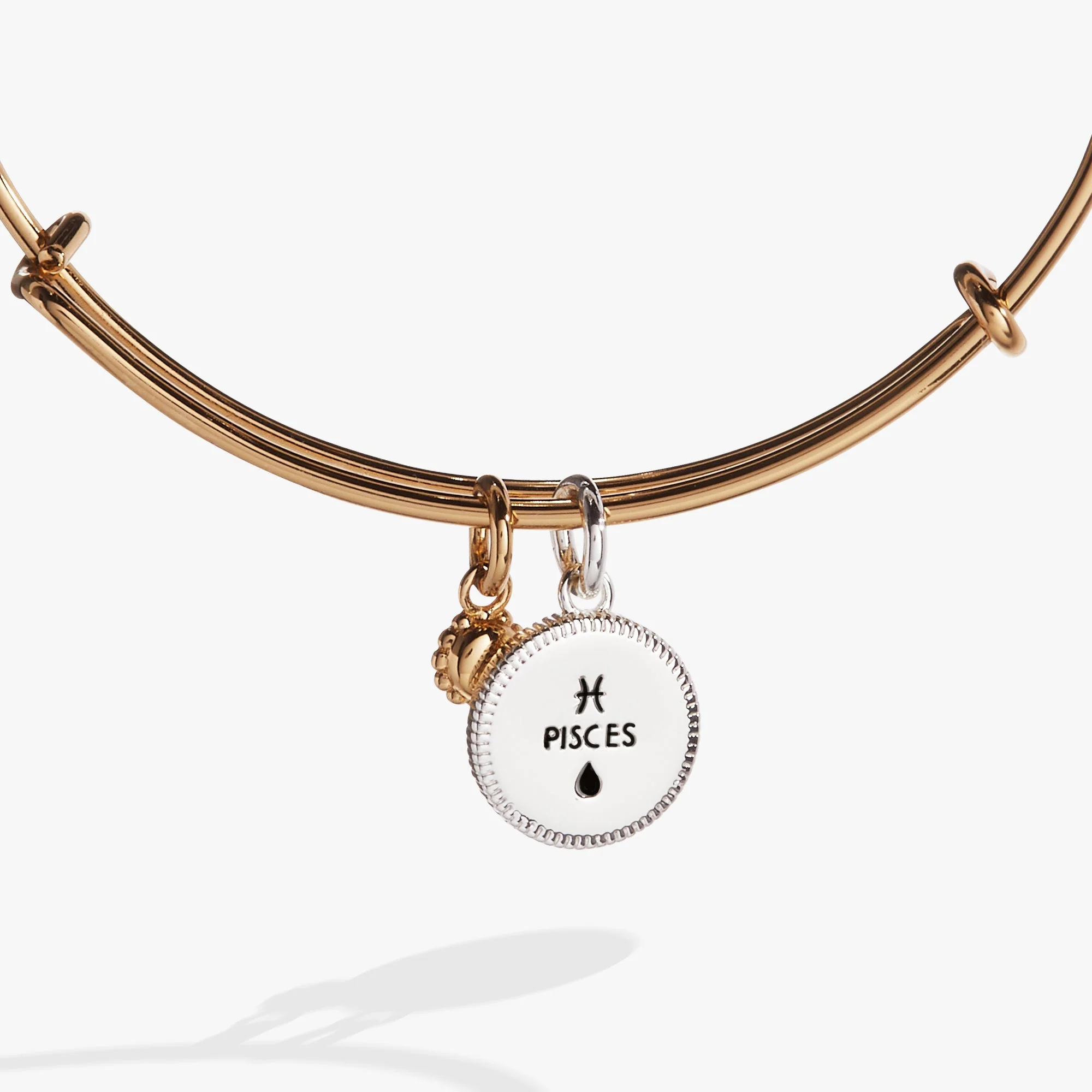 Pisces Zodiac Charm Bangle - Image 2